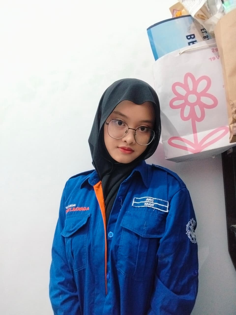 Dina Purnamaningtyas